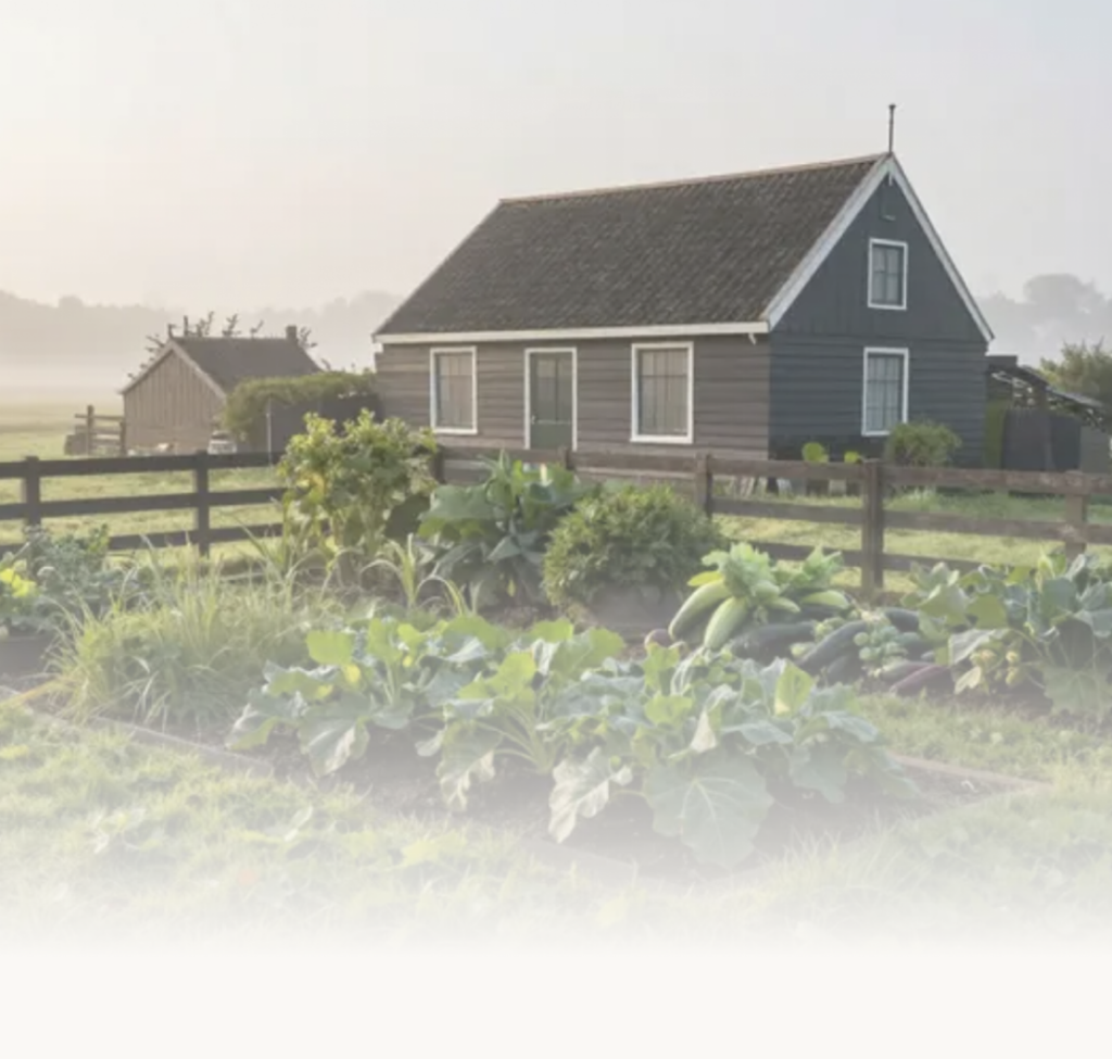 moestuin—tiny house living-DareToBeFree